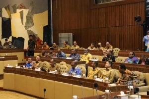 RDP DPR, Waterpauw Sampaikan Dua Kesepakatan Asosiasi Kepala Daerah se-Tanah Papua