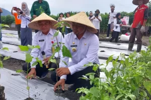 Pj Bupati Jayapura Canangkan Tari Toba di Distrik Waibu
