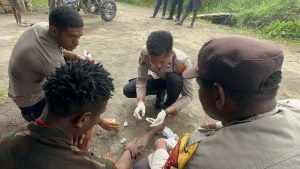 Program Keladi Sagu di Dogiyai, Mengobati Luka dan Demam Melian Wandega