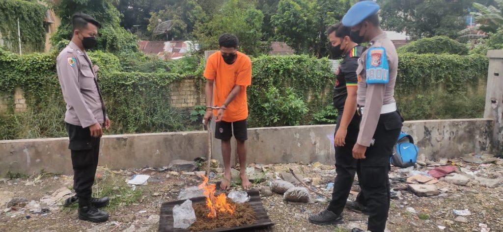 VN (25) Pemilik 2,3 Kg Ganja Terancam Penjara Seumur Hidup