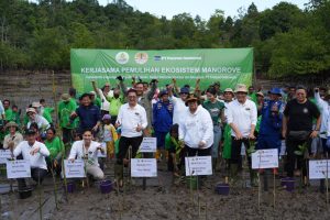 KLHK, BRGM, PT Freeport Indonesia Rehabilitasi 2.000 Ha Lahan Mangrove di Kaltim