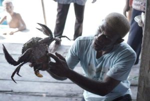 Lewat Desa Cahaya, YBM PLN Dorong Warga Kampung Mandoni Budidaya Kepiting