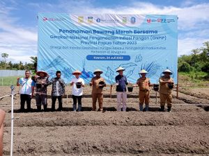 Bank Indonesia Papua dan TPID Tanam Bawang Merah untuk Pengendalian Inflasi Pangan