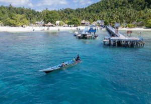 Green Fishery dari PLN Bantu Perekonomian Nelayan di Raja Ampat