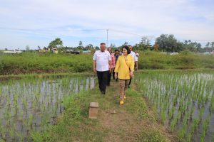 Hadapi Cuaca Ekstrem, Gubernur Waterpauw Belanja Masalah di Oransbari