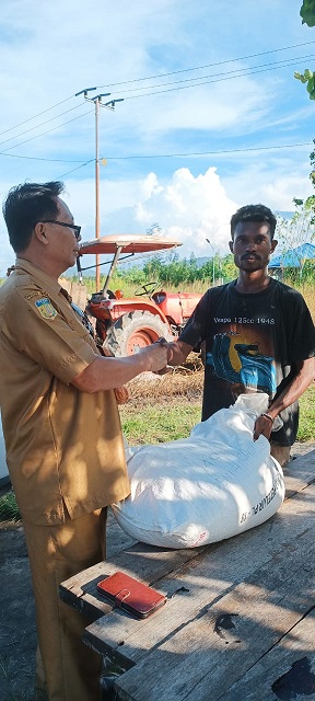 Pemkab Jayapura Bantu Pokdarwis Yotoro 40 Kg Bibit Jagung Super