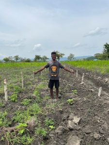 Di Kebun Tuli Yotoro, Selain Jagung Ada juga Kelor