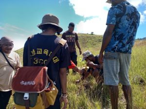 Komunitas Menoken Mamta Tanam Ratusan Pohon di Kampung Dondai