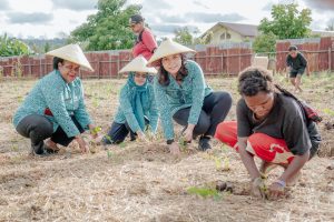 Turunkan Inflasi, TP-PKK Papua Tengah Tanam Cabai