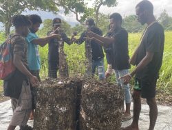 Serunya Pelatihan Pengolahan Pupuk Negentropi di Kebun Tuli Yotoro