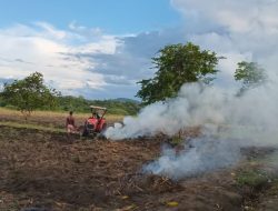 Persiapan Kebun Tuli Yotoro Tahap II, Berharap Mendapat Hasil Terbaik