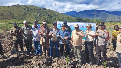 Pj Bupati Jayawijaya Tanam Perdana Padi di Distrik Pyramid