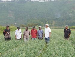 Bank Indonesia Papua Membawa Petani dan PPL Belajar GAP di Jawa