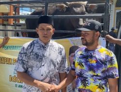 Warga Sarmi Sambut Antusias Sumbangan Hewan Qurban Paulus Waterpauw