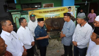 Menjaga Tali Silaturahmi, Paulus Waterpauw Sumbang 11 Ekor Sapi Peringati Idul Adha 1445 H