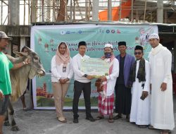 Bank Indonesia Distribusikan 19 Hewan Kurban di Seluruh DOB di Tanah Papua
