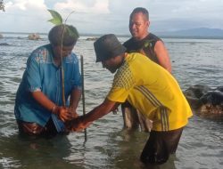 HLH Sedunia 2024, Komunitas Menoken Mamta Tanam Pohon Mangrove di Pulau Masi-Masi