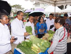 GNPIP 2024 Dorong Peningkatan Produksi Pangan di Tanah P­­apua