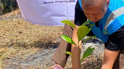 Komunitas MENOKEN AnimHa dan  PLN UP3 Merauke Aksi Tanam Pohon di Kampung Onggaya