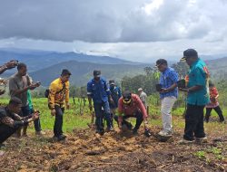 Tanam 1.000 Bibit Alpukat di Irilaga, Ini Harapan Pj Bupati Jayawijaya