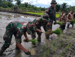 Pendirian Yonif Penyangga Daerah Rawan di Lima Wilayah Papua Dukung Ketahanan Pangan