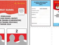 Gandakan Surat C6, Satu Warga di Kota Jayapura Ditangkap