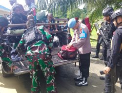 Polda Papua Amankan Puluhan Sajam dan Ganja di Wamena