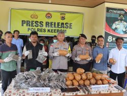 Polres Keerom Amankan 20 Kilo Ganja Kering, Tangkap 5 Pelaku