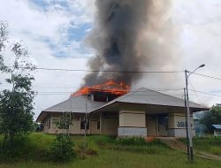 Tidak Puas Hasil Tes SKD, Massa Bakar Kantor BKD Boven Digoel