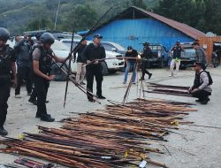 Polda Papua Gelar Razia di Tolikara, 812 Sajam Diamankan
