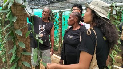 Kelompok Tani Ayem Kulon Progo Perkenalkan Cara Budidaya Vanili di Green House