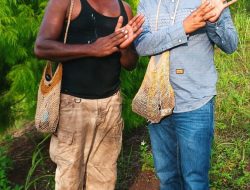 Origenes Monim: Dari Menoken Hingga Penanaman Sejuta Pohon di Bukit Hobong