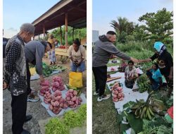 Melihat Kebiasaan Kaka Besar Paulus Waterpauw Berbelanja Hasil Kebun Mama-mama Papua