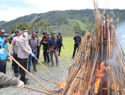 Ribuan Alat Perang Dimusnahkan, Simbol Perdamaian Kubu Paslon 01 dan 02 di Puncak Jaya