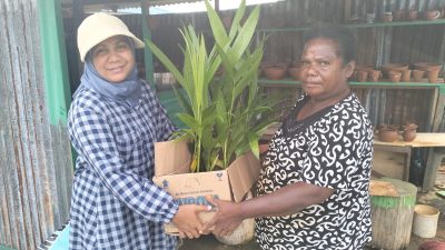 Komunitas Menoken Mamta Menyerahkan 50 Bibit Pinang kepada Warga Abar