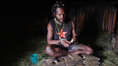 Amunisi dan Ganja Kering Milik Egianus Kogoya Diamankan Satgas Damai Cartenz