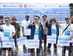 Freeport dan KLH Percepat Program Nasional Rehabilitasi Mangrove di Kalsel