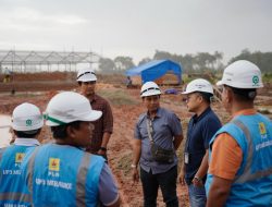 PLN Komitmen Dukung PSN Pengembangan Pangan dan Energi di Merauke