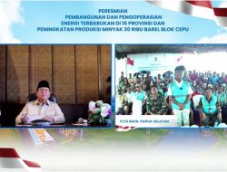 Diresmikan Presiden Prabowo, Kini Ratusan Pelanggan di Mappi Nikmati Listrik Bersih PLN