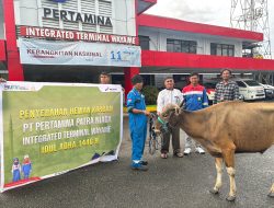 Pertamina Patra Niaga Papua Maluku Salurkan 136 Hewan Kurban di Ring 1 untuk Rayakan Idul Adha 1446 H