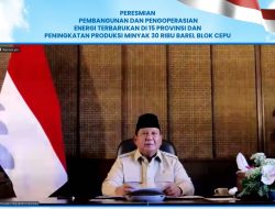 47 PLTS Diresmikan Presiden, 5.383 Rumah Tangga di Wilayah 3T Kini Nikmati Listrik Bersih