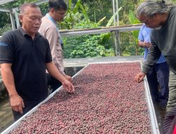 UMKM Kopi dan Kakao Papua Studi Lapangan dan Benchmarking ke Kopi Menoreh Tumpang Sari Kulon Progo
