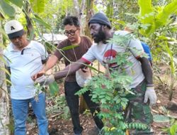 Petani Sota Perbatasan RI–PNG Ingin Vanili Lebih Bernilai