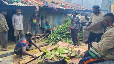 Bakar Batu Aikai Sukses Digelar, Kepala Suku Beri Apresiasi untuk Presiden Prabowo