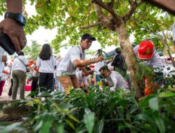 PLN Tanam Ribuan Pohon Pulihkan Pesisir Holtekamp