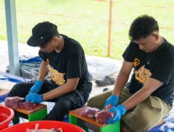 Tebar Keberkahan Idul Adha 1447 H, PLN Salurkan 23 Hewan Kurban di Tanah Papua