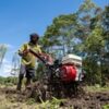 Inflasi Provinsi Papua dan Tiga DOB pada April 2026 Tetap Terjaga