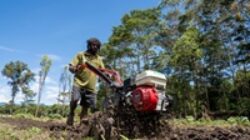 Inflasi Provinsi Papua dan Tiga DOB pada April 2026 Tetap Terjaga
