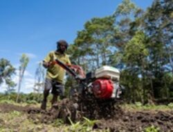 Inflasi Provinsi Papua dan Tiga DOB pada April 2026 Tetap Terjaga