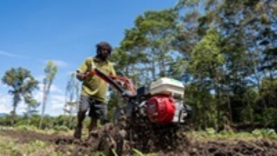 Inflasi Provinsi Papua dan Tiga DOB pada April 2026 Tetap Terjaga